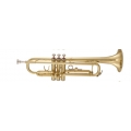 Maxtone TTC-236 Maxtone TTC-236